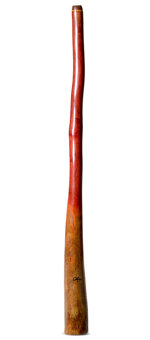Tristan O'Meara Didgeridoo (TM450)